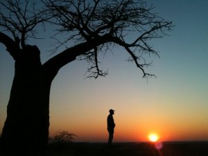 263478_240160236001768_6473399_n