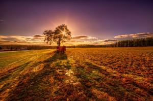 10855090_10152605385320443_1144433549170012210_o