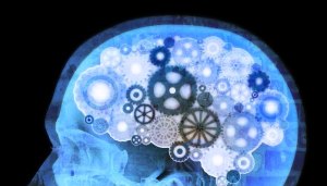 AAEAAQAAAAAAAAAnAAAAJDdiNTMwMzMwLTNhNDItNGZlZi05MjQ3LTIwNzE2YmQ1YTc2Yw