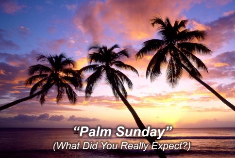 Palm Sunday 2020